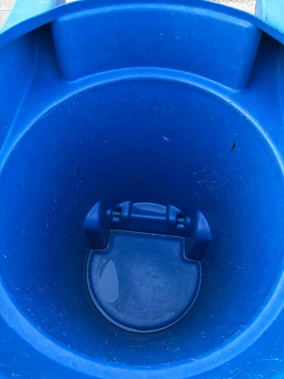 After: clean blue trash bin interior after AZ Quick Bins service